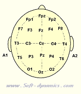 10-20 System Neurofeedback